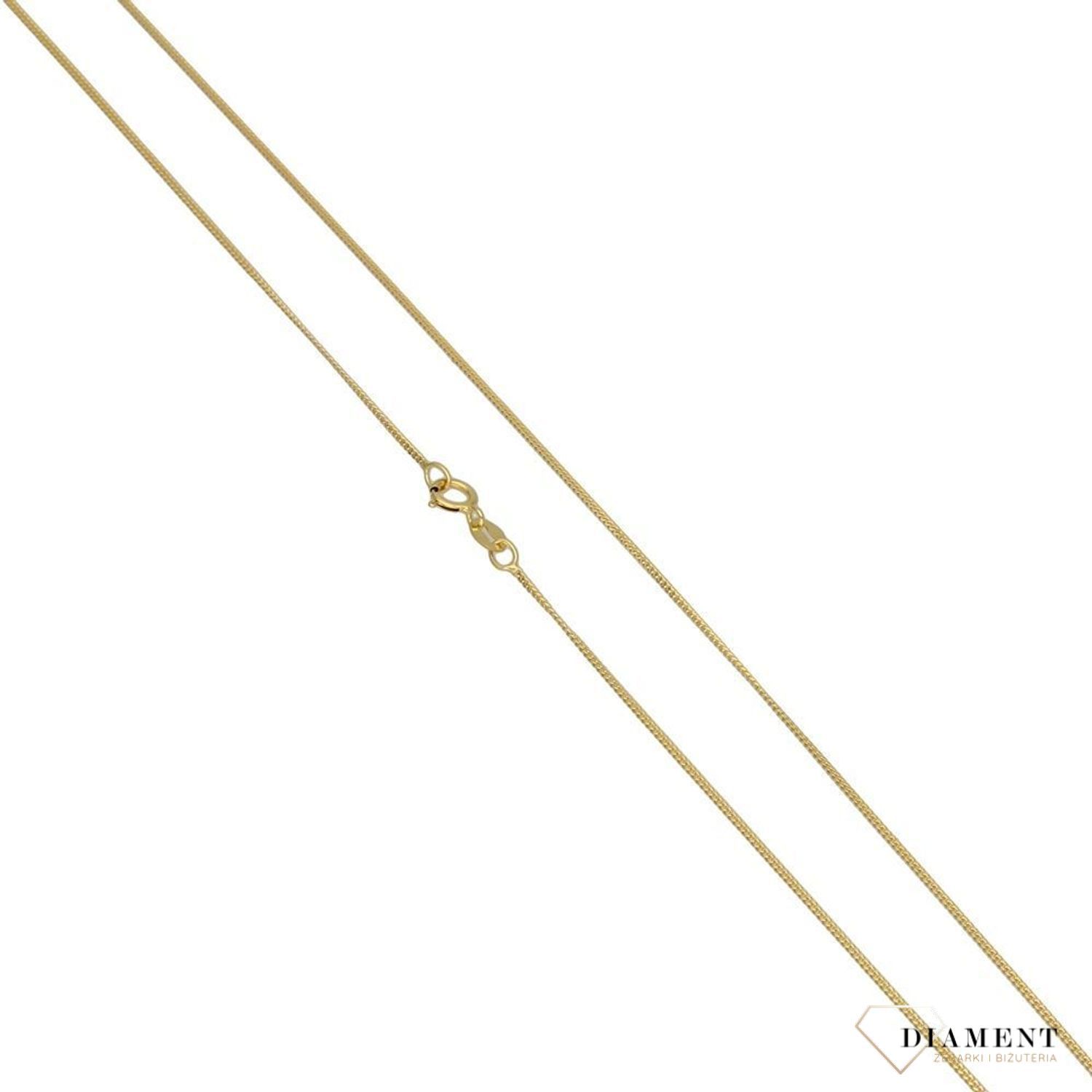 Łańcuszek pancerka 585 470.jpg